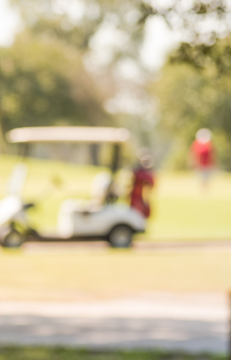 GOLF PROPERTIES
