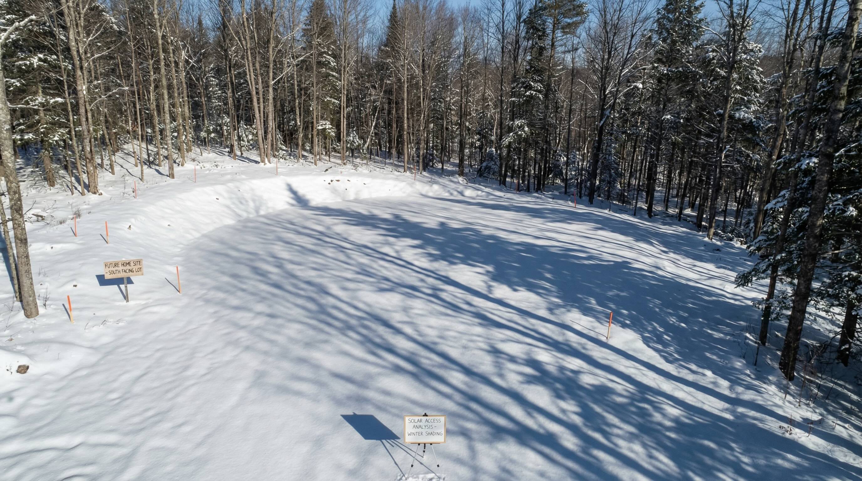 Vermont building site with blocked solar access showing winter tree shadows covering potential building area