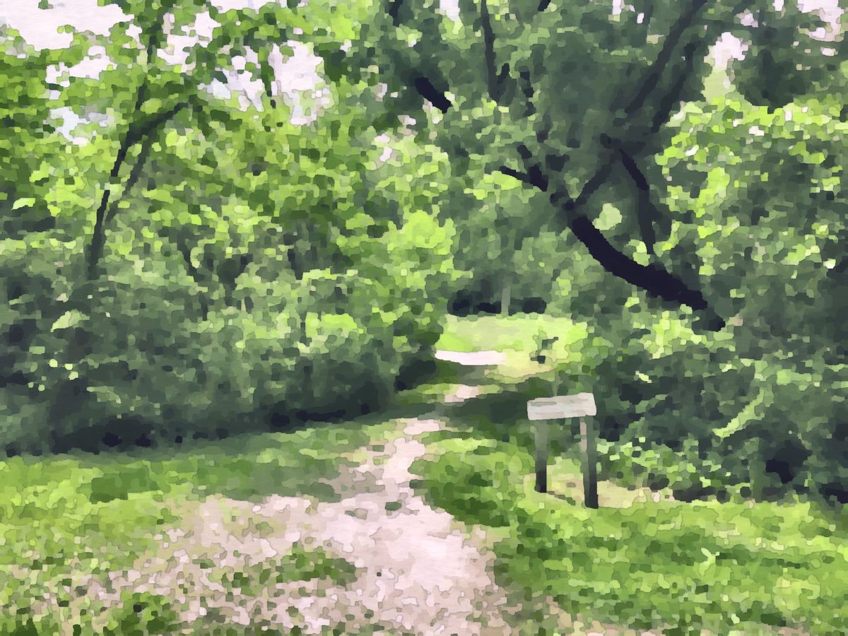 Painting of a wooded trail at Creekside Reserve in Beavercreek, Ohio