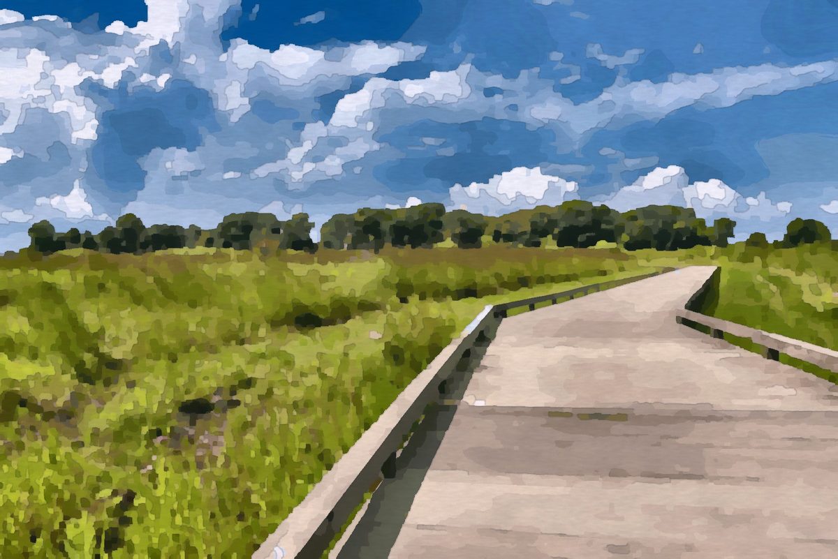 Painting of the wetland boardwalk at Glacier Ridge Metro Park near Plain City, Ohio