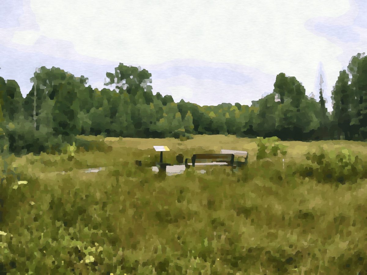 Painting of the boardwalk at Cedar Bog Nature Preserve near Urbana, Ohio
