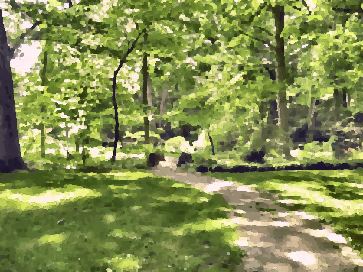 Painting of the gardens at Aullwood Garden MetroPark near Vandalia, Ohio