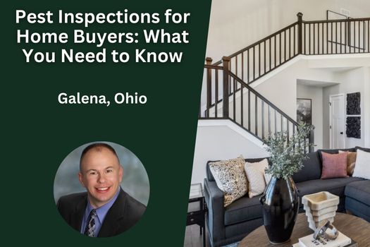 Pest Inspections for Home Buyers in Galena, Ohio: What You Need to Know