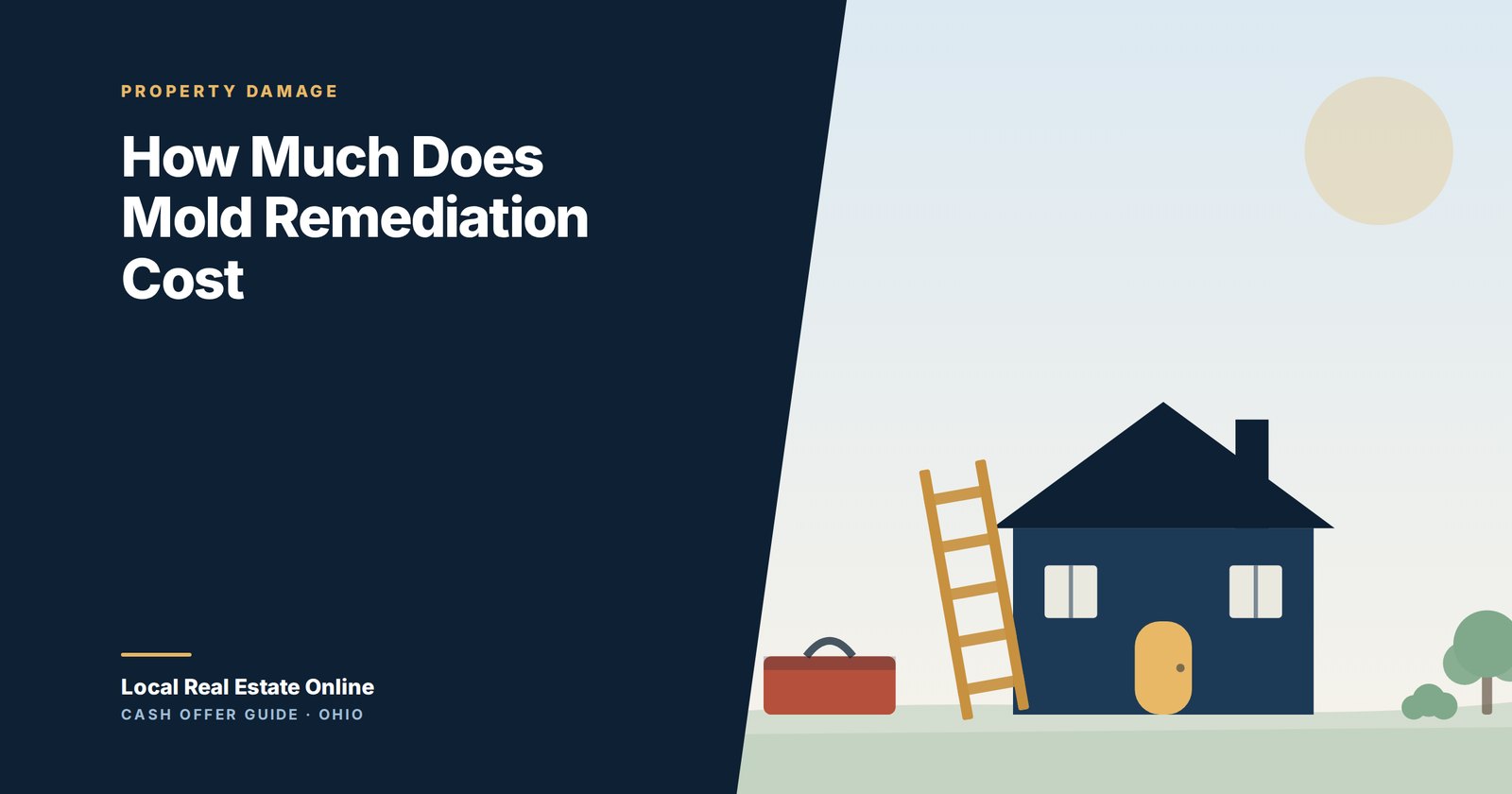 Illustration of a ladder, drop cloth and tools set up against a wall with dark staining, representing mold remediation work before a home sale