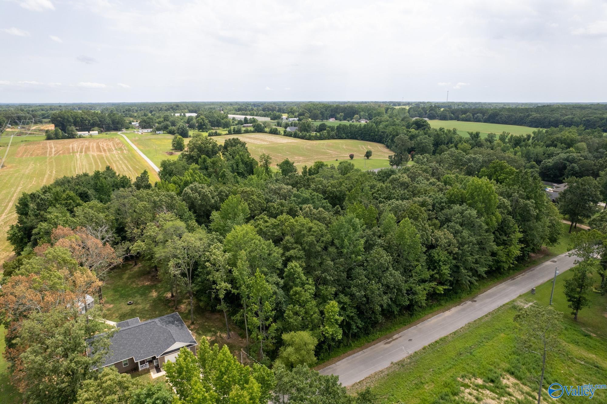 Toney Real Estate Homes For Sale in Toney