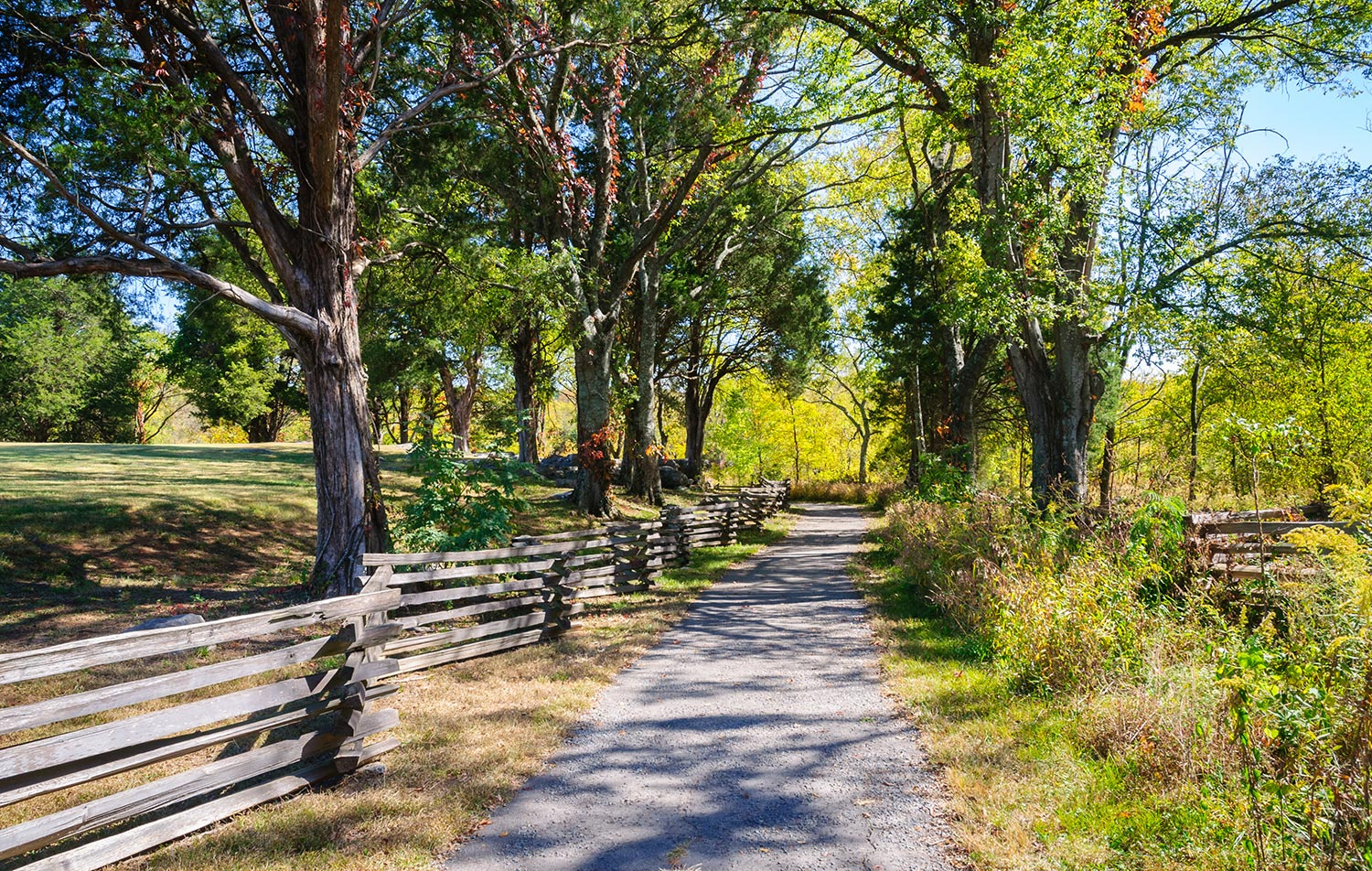 Murfreesboro real estate