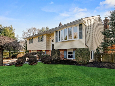 Montgomery Township NJ homes for sale near Princeton