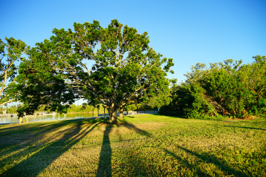 Vacant Land