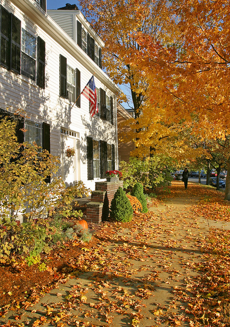 Autumn House Pic
