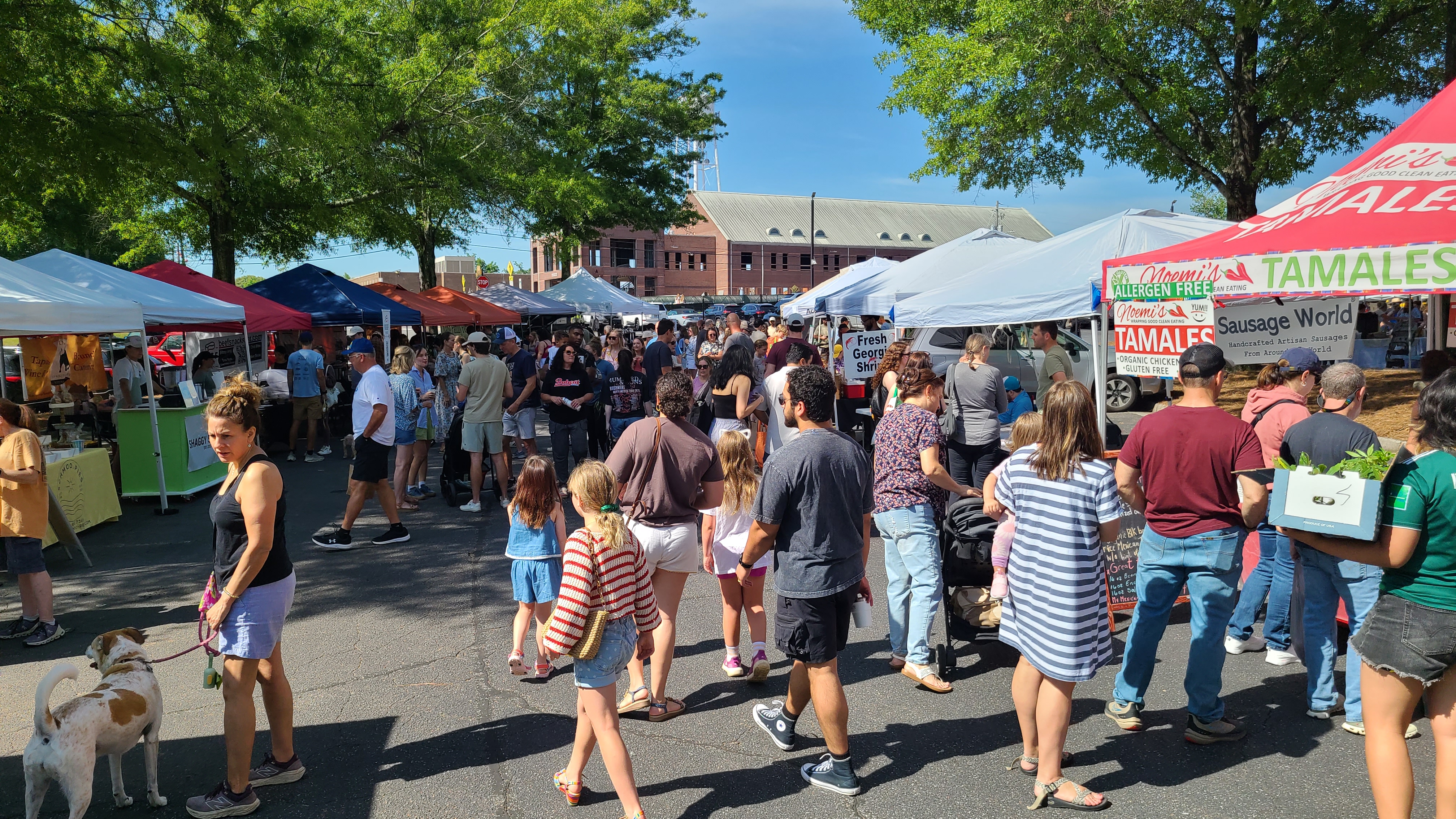roswell farmers market