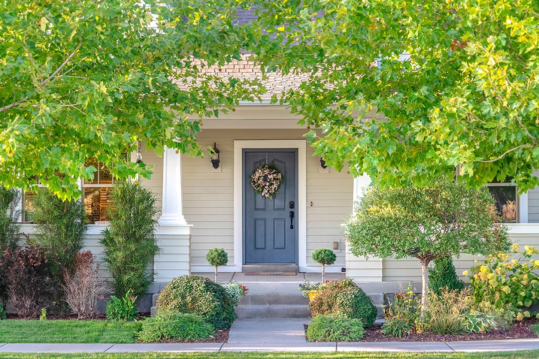 5 Summer home and garden projects