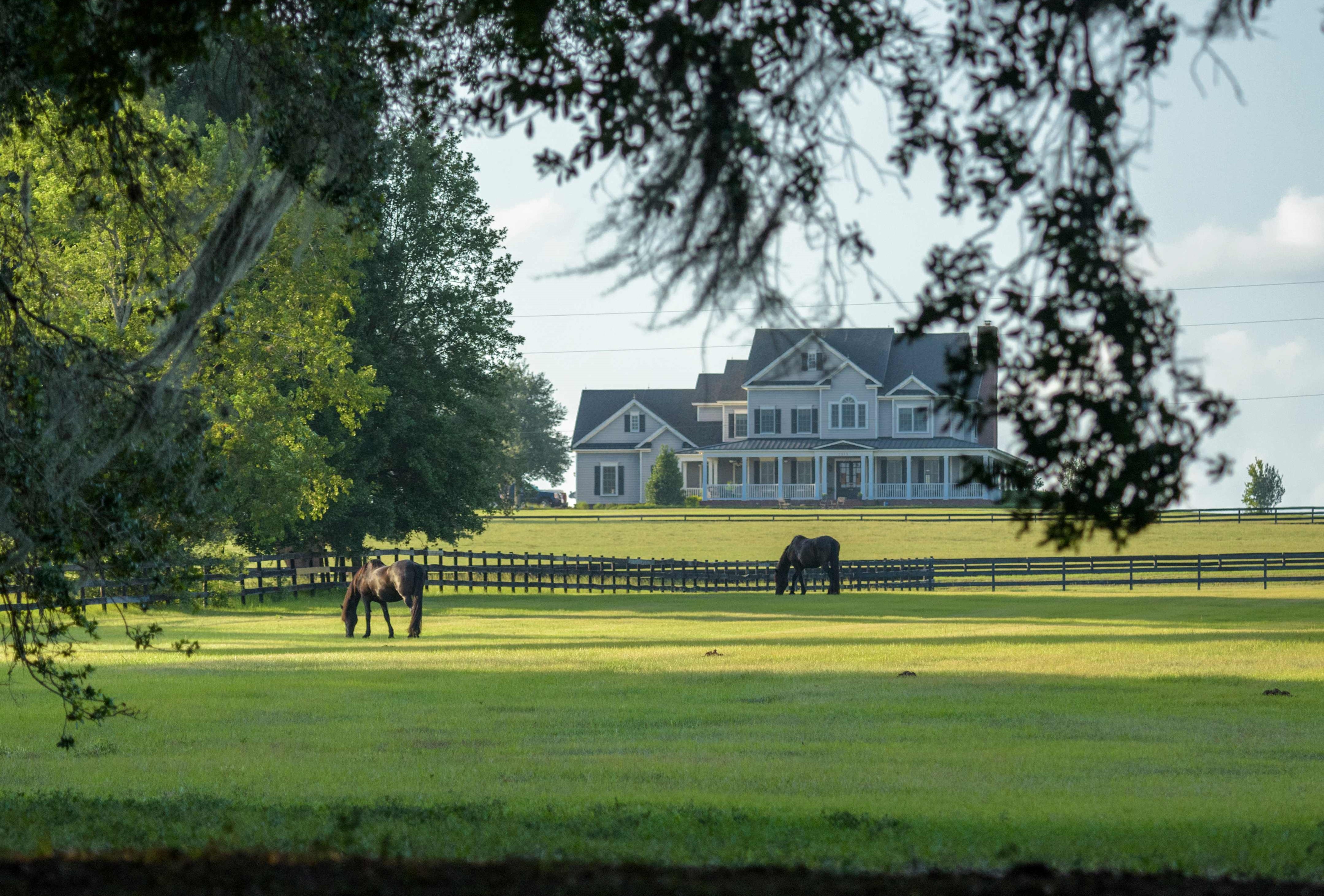 Equestrian properties and horse farms in Milton
