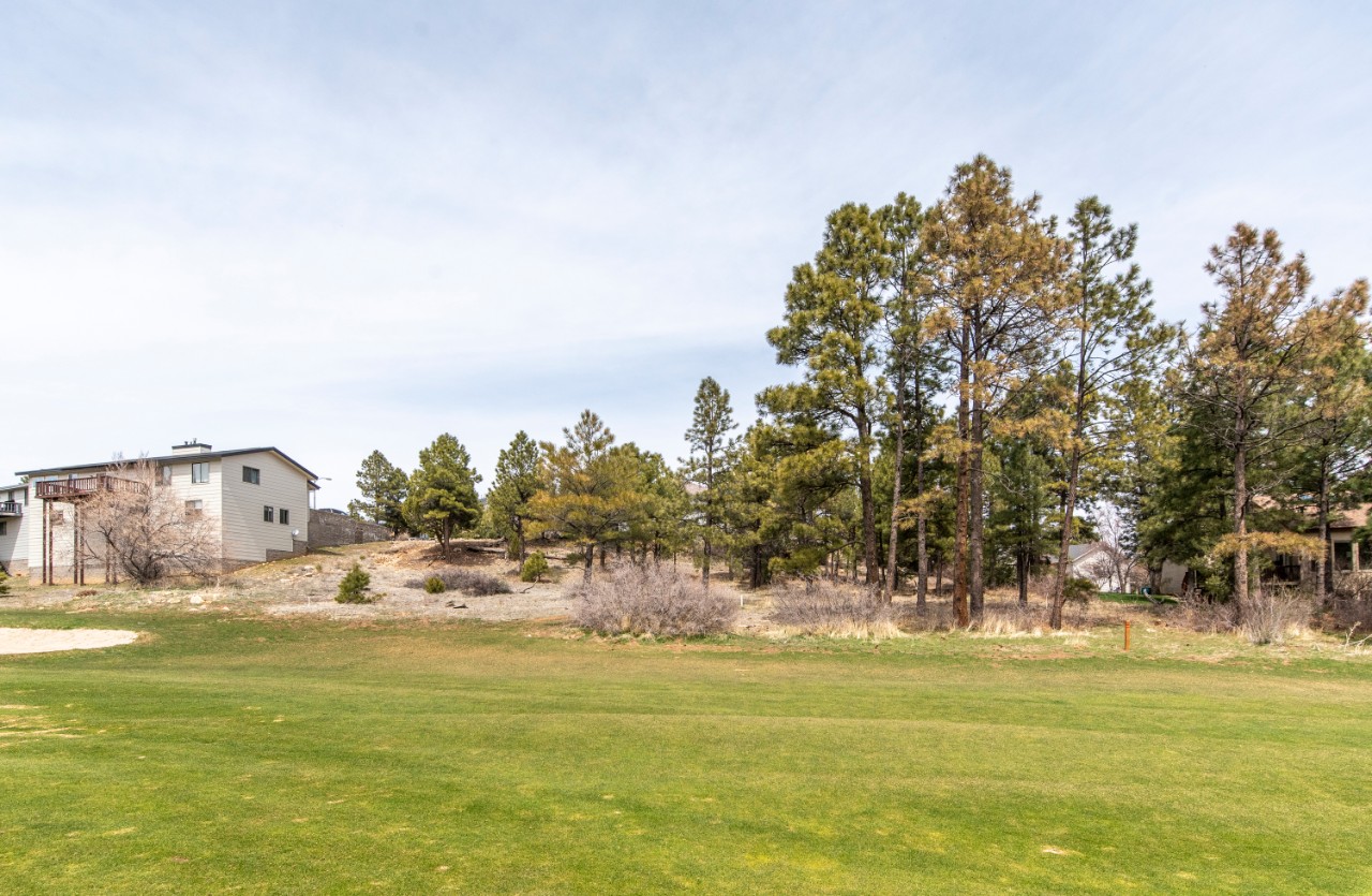 4139 E Woodridge Lane, Flagstaff, AZ 86004