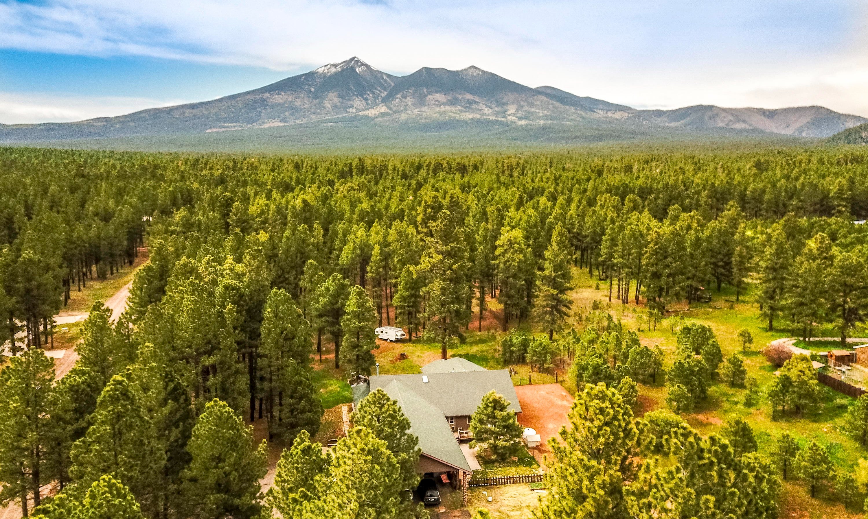 Forest Hills Flagstaff Real Estate & Homes For Sale