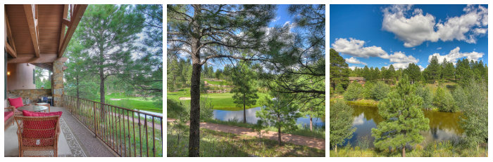 Views _3404 S Clubhouse CIR, Flagstaff, AZ 86005