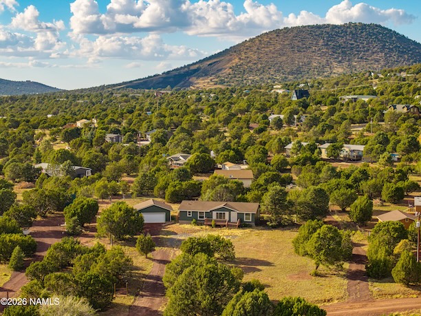 Cinder cone mountain and juniper forest views from 1.03-acre property in Williams, AZ