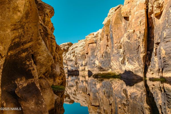 Natural canyon water source supporting wildlife and grazing at historic Arizona ranch