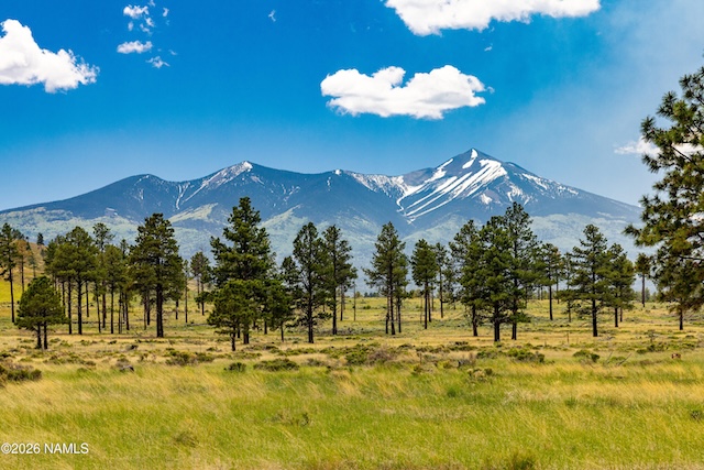 Forested 5.6-acre lot with mountain views in Snowbowl Estates, Flagstaff, Arizona
