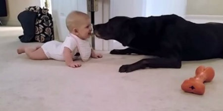 Family pet and baby