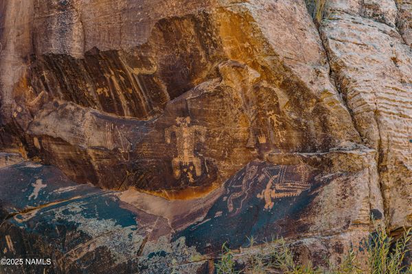Ancient petroglyph carvings at historic Rock Art Ranch Arizona archaeological site for sale