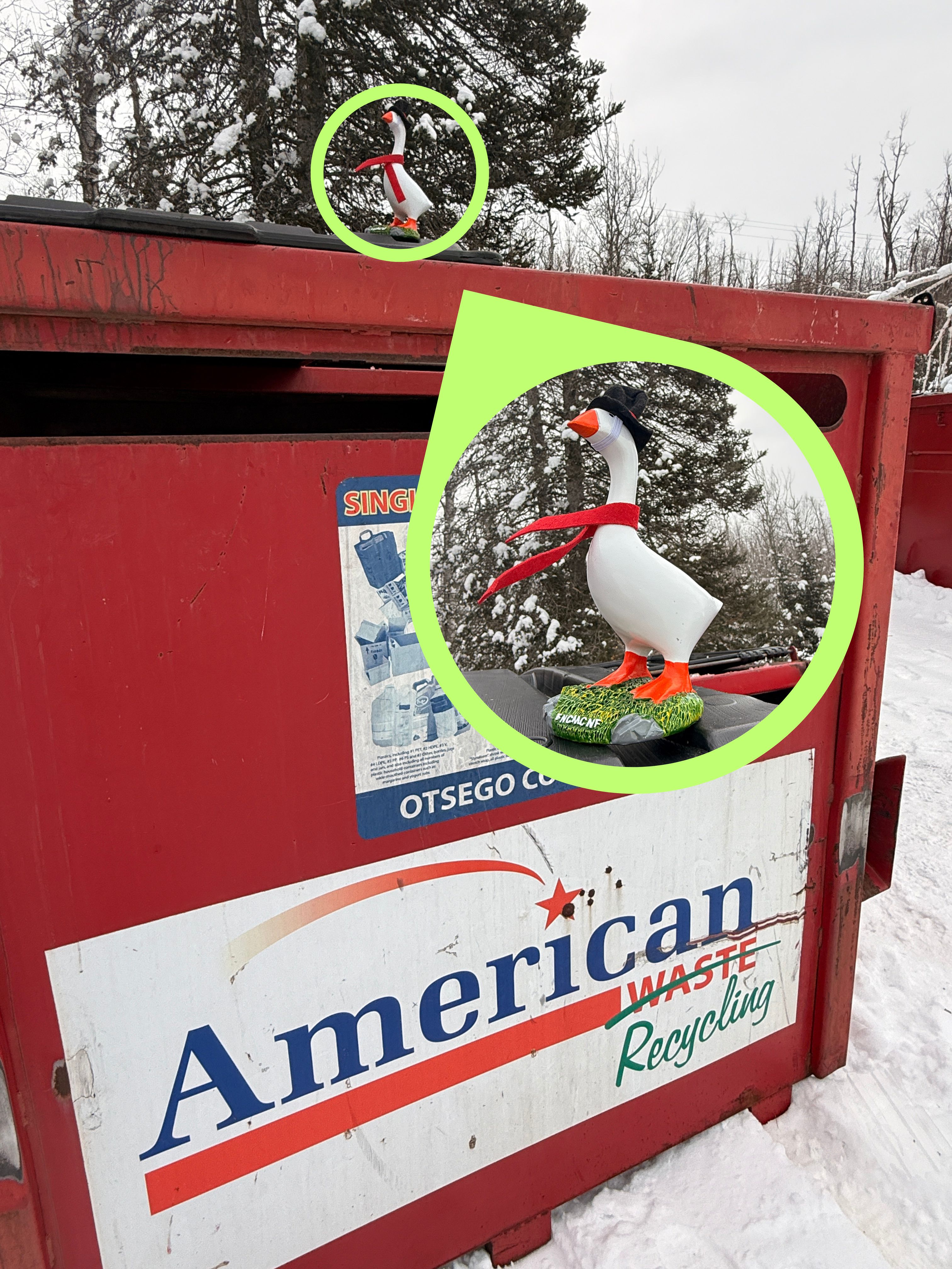 Hughie Reveal - Found at the Recycling Bins - Local Transfer Station Guide - Huston Real Estate in Northern Michigan