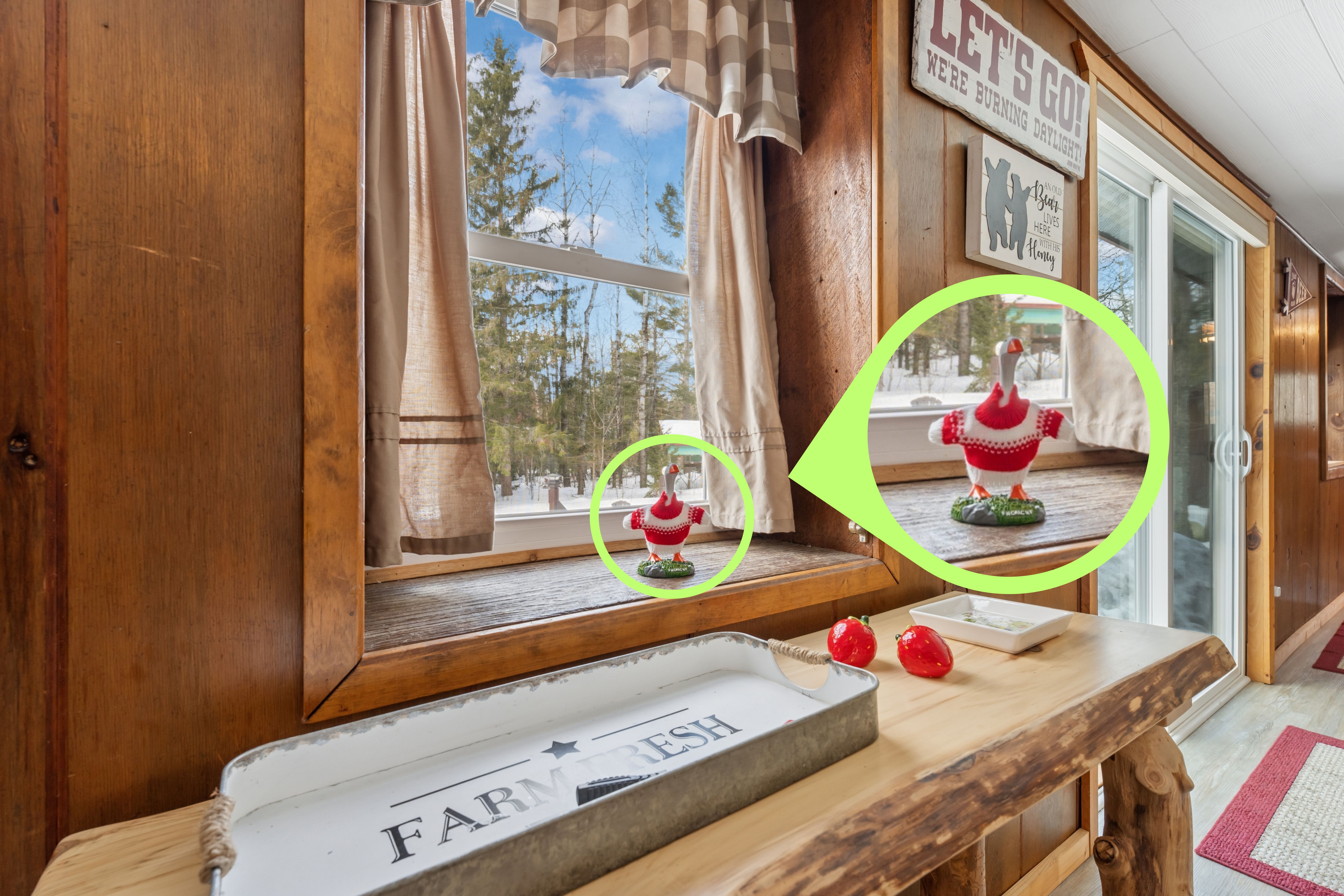 Hughie Reveal - Found in the Kitchen Window - Huston Real Estate in Lewiston, Michigan