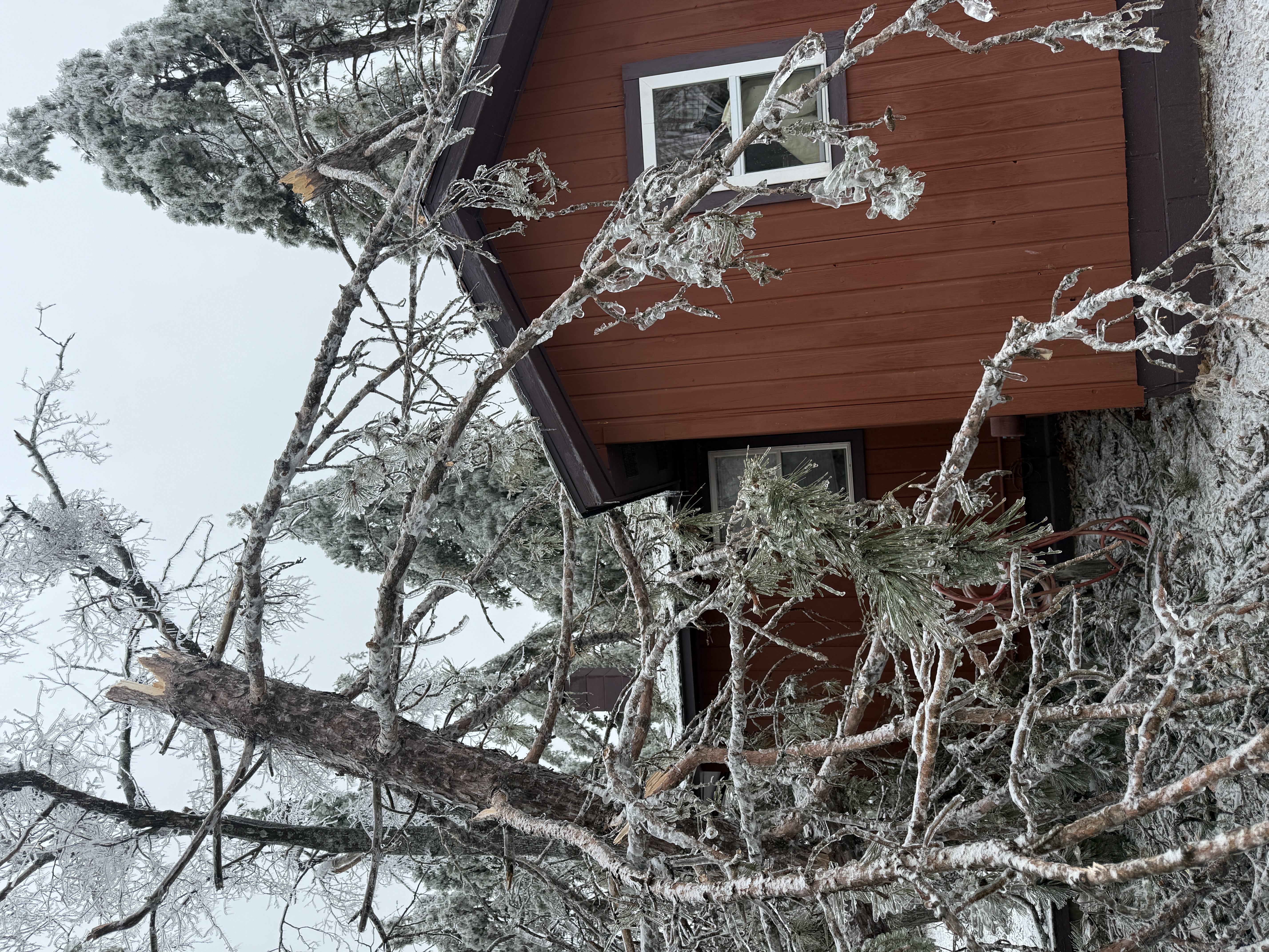 Ice storm damage - Lewiston Michigan March 2025 - Huston Real Estate