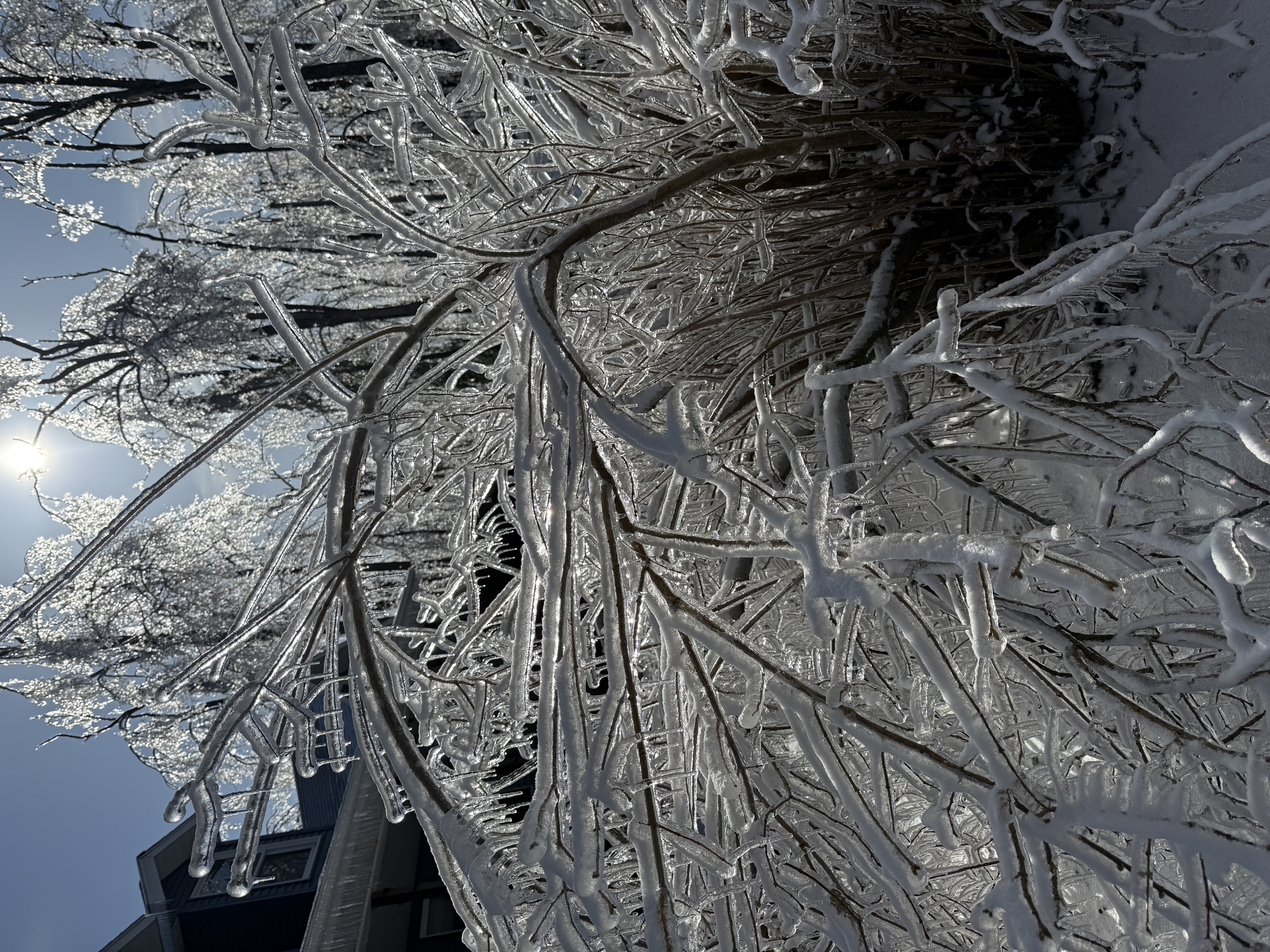 Ice storm damage - Lewiston Michigan March 2025 - Huston Real Estate