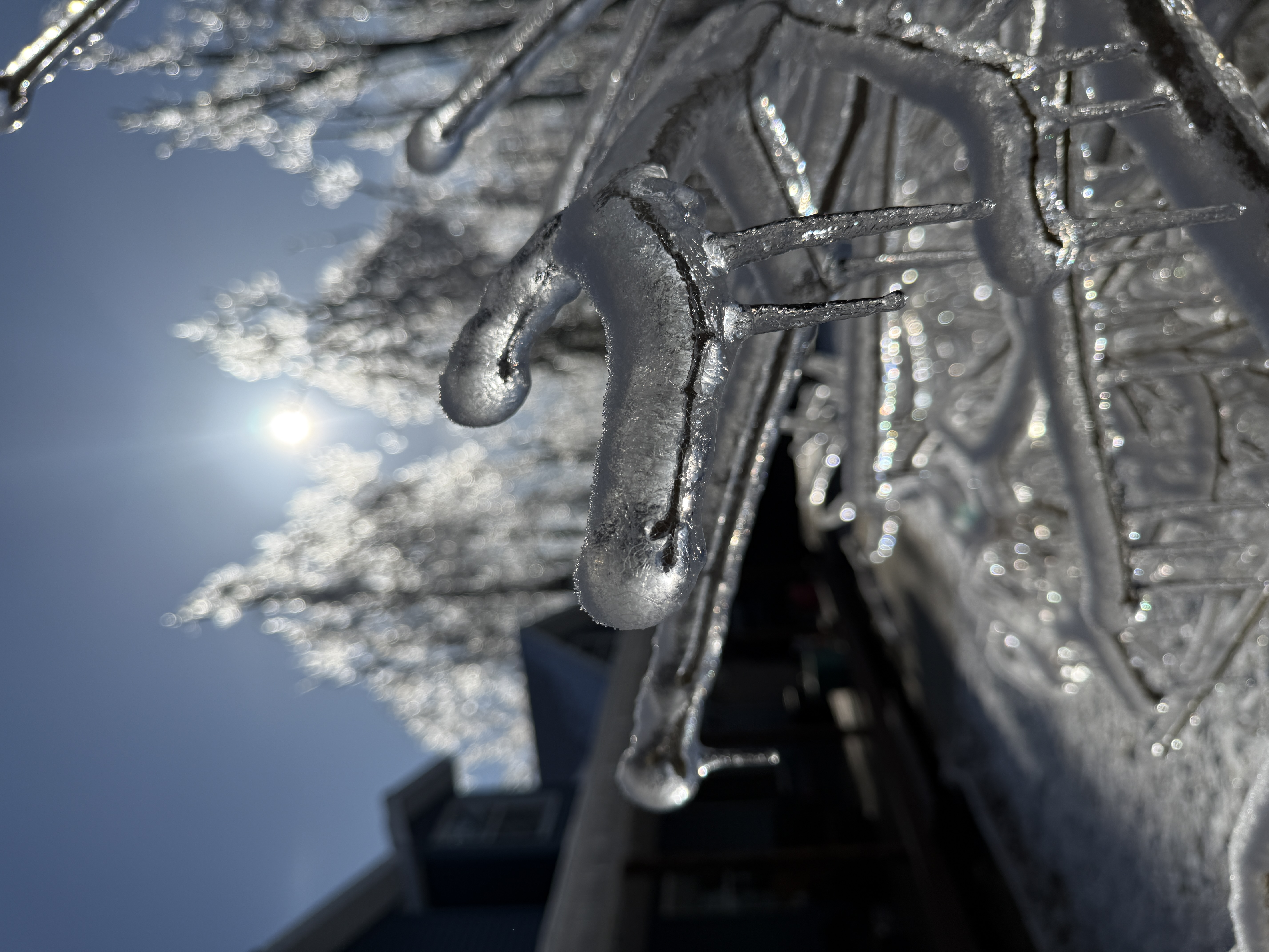 Ice storm damage - Lewiston Michigan March 2025 - Huston Real Estate