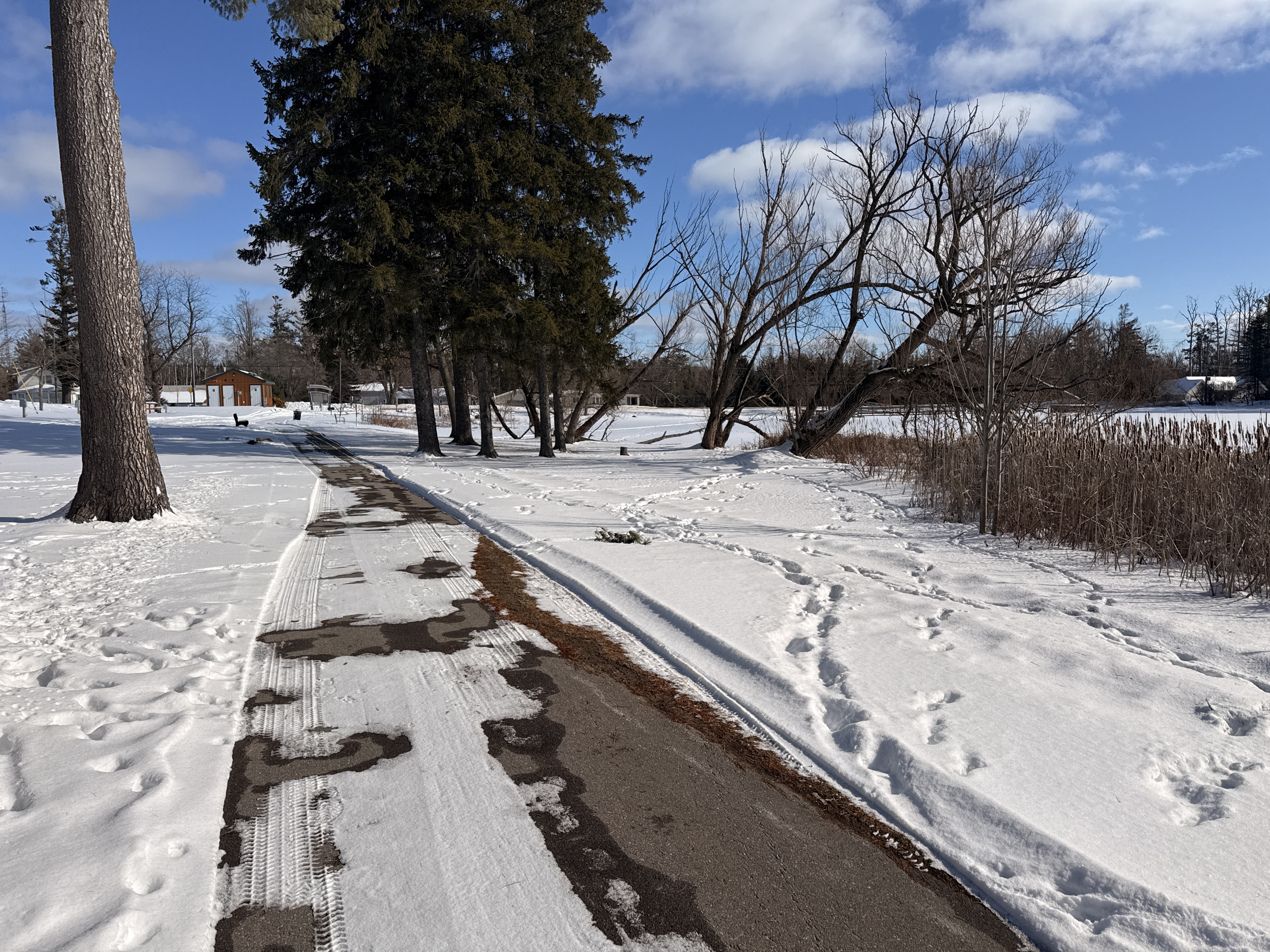 Scenic walking path at Briley Township Park in Atlanta, MI - Huston Real Estate