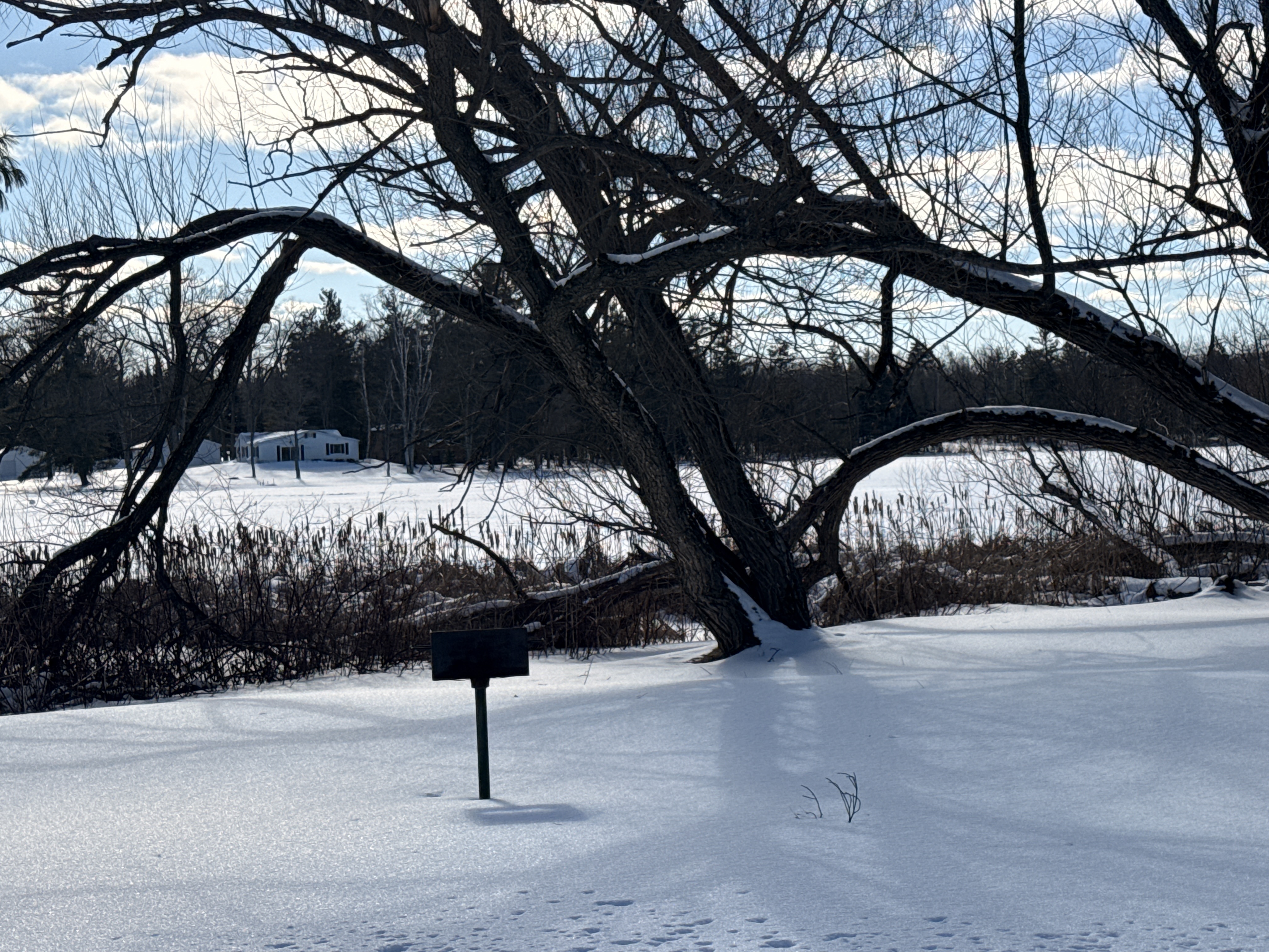Picnic tables and grills along the river at Briley Township Park - Huston Real Estate