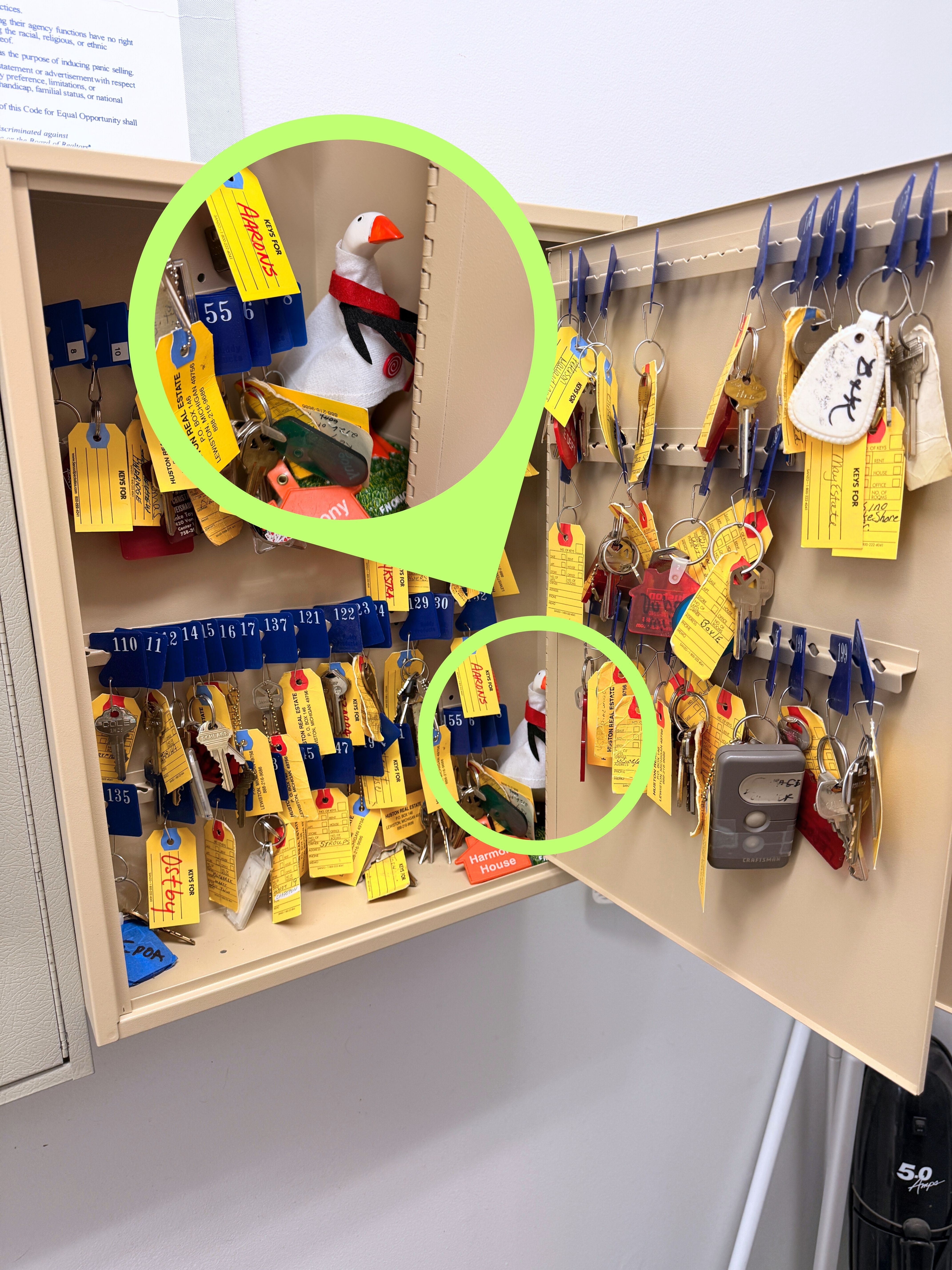 Hughie revealed in key cabinet at Huston Real Estate Lewiston Michigan office