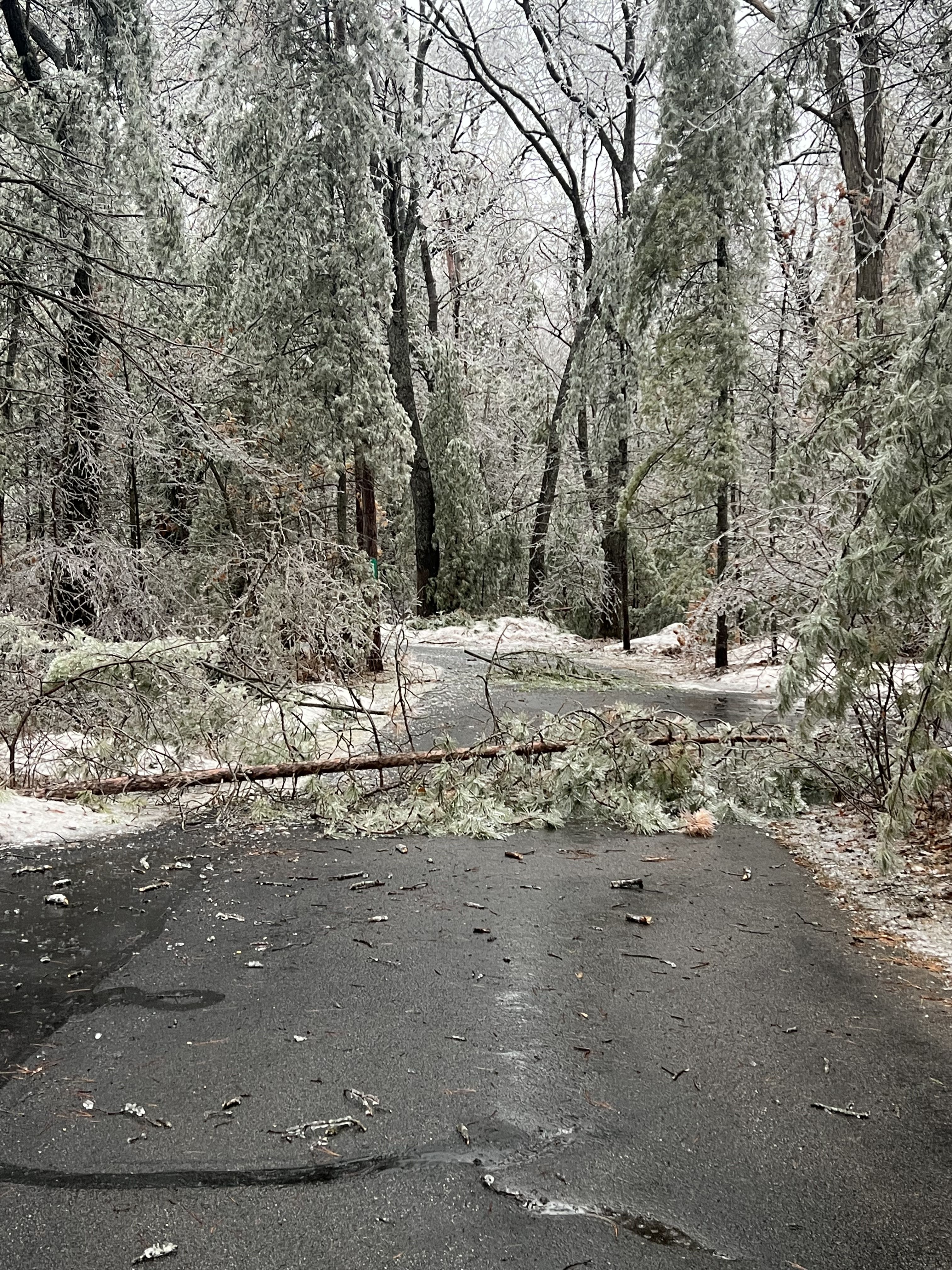 Ice storm damage - Lewiston Michigan March 2025 - Huston Real Estate