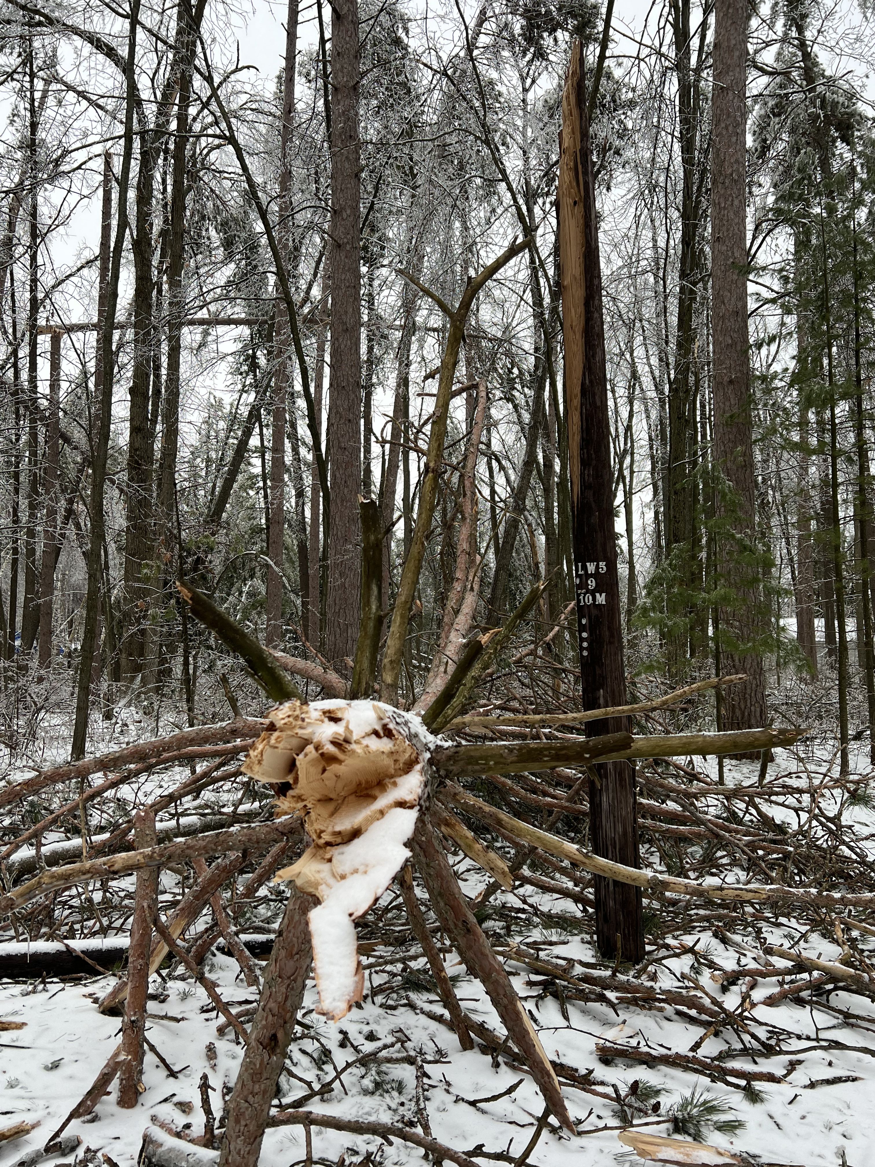 Ice storm damage - Lewiston Michigan March 2025 - Huston Real Estate