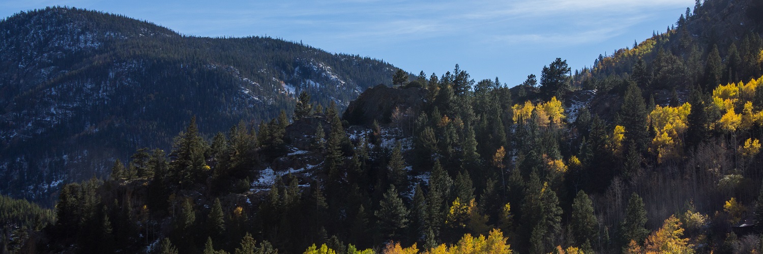 Bellvue, Colorado