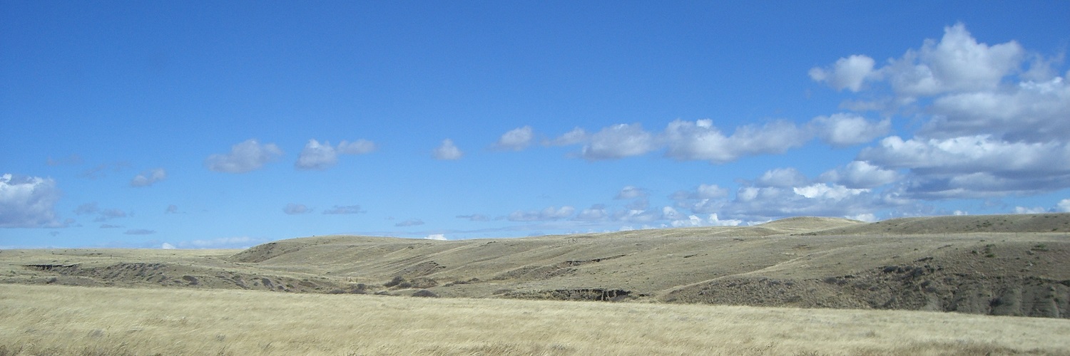 Wellington CO Real Estate Search All Wellington CO Homes