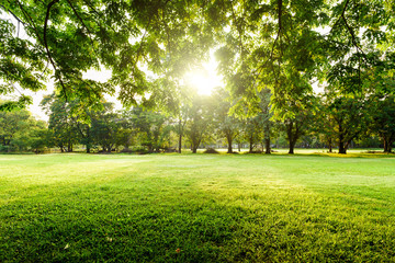Belle view park