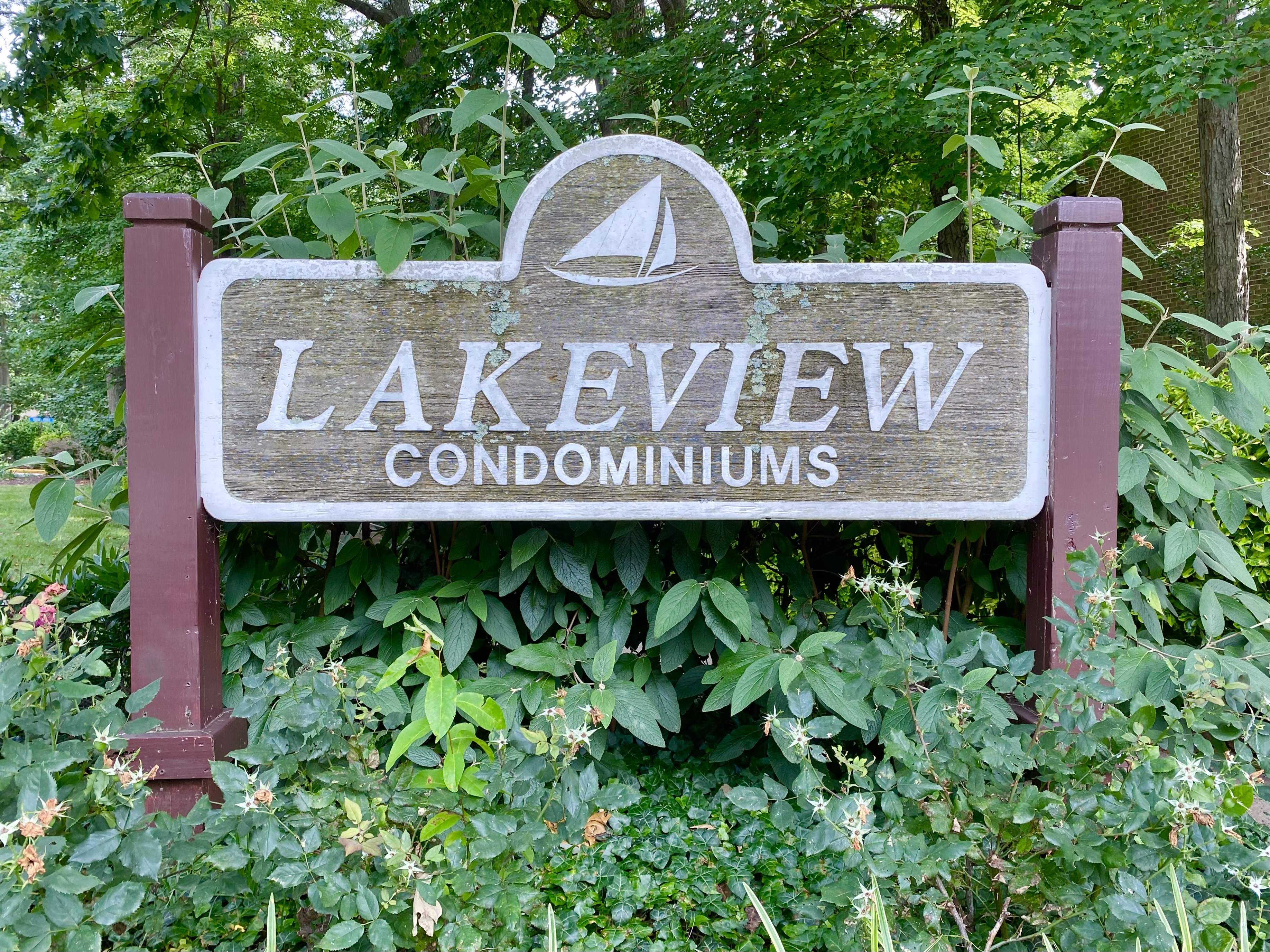 Lakeview Condos for Sale
