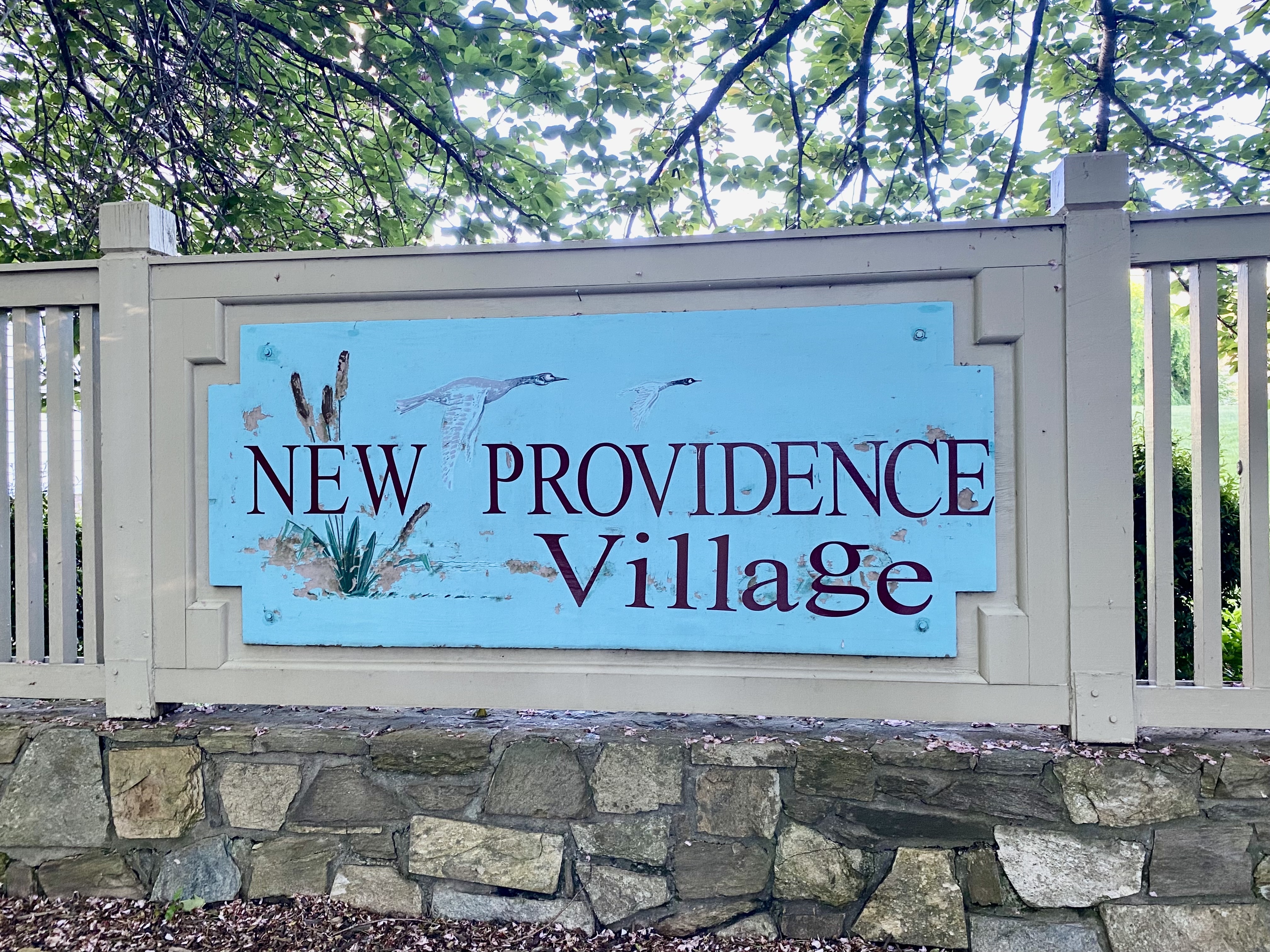 New Providence Village Condos for Sale