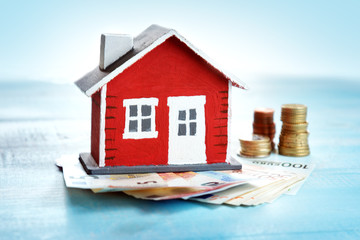 Purchasing cheap homes