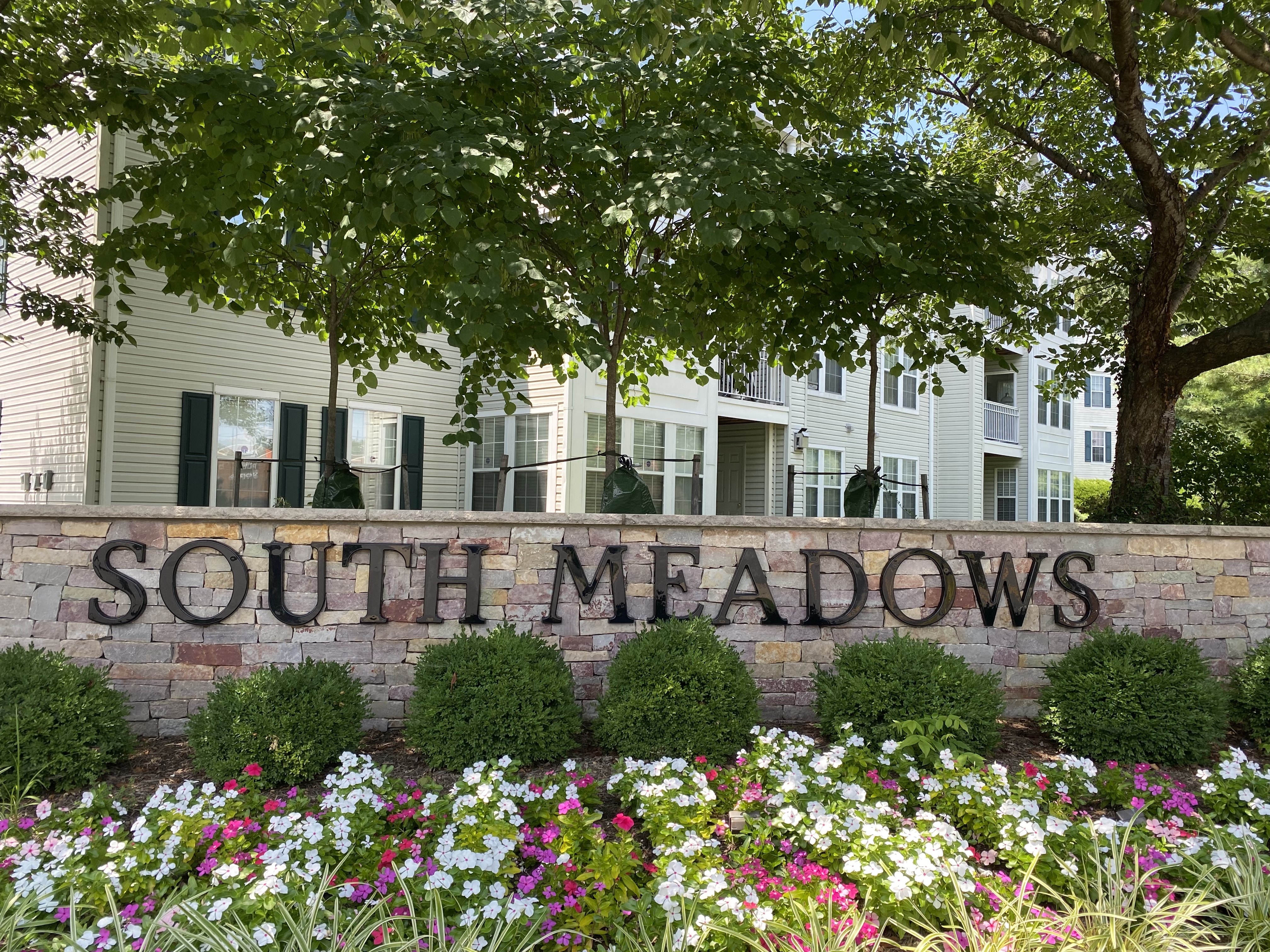 South Meadows