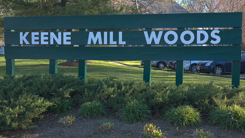 Keene Mill Woods Condos for sale