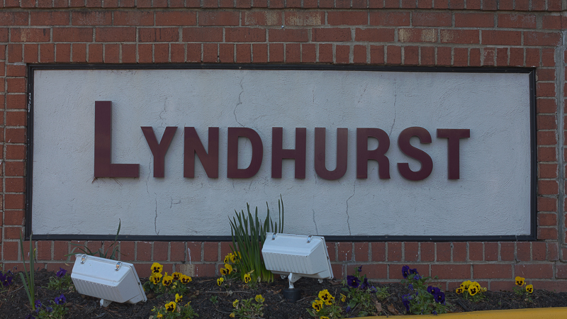 Lyndhurst Condos for Sale