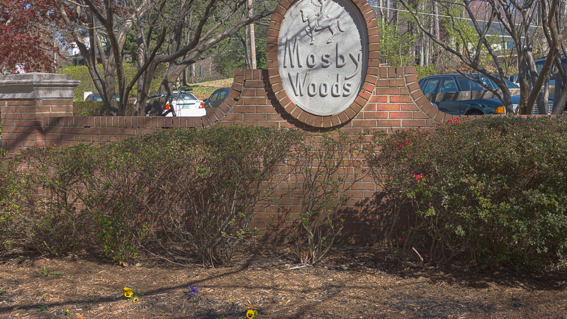 Mosby Woods Condos for Sale