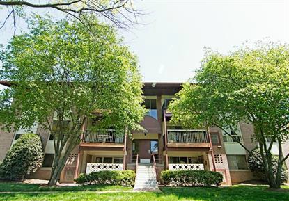 Park Terrace condominiums for sale in Vienna Virginia