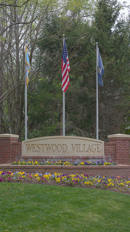Westwood Village Condos for Sale in Vienna Virginia
