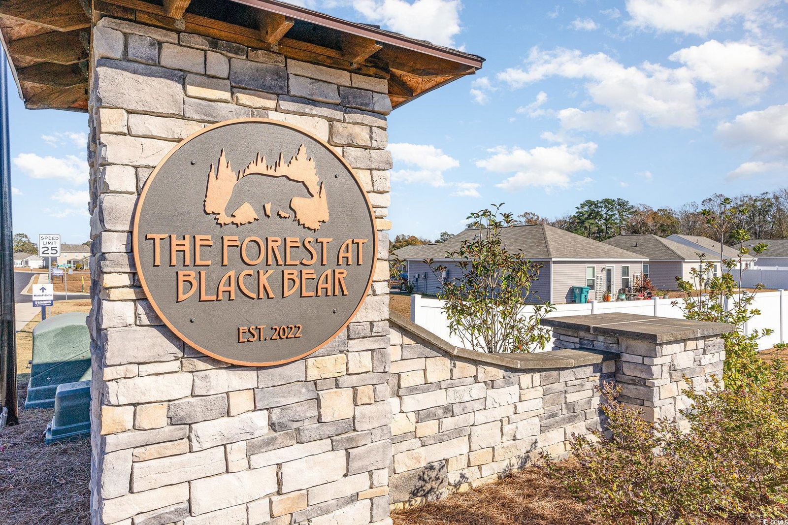 The Forest at Black Bear Homes for Sale, Longs SC