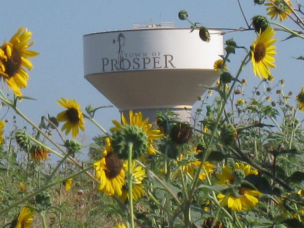 Prosper Texas Real Estate Water Tower