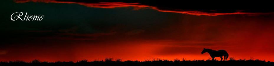 Rhome TX Real Estate Search - Rhome Texas Homes For Sale