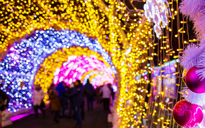 Garden pathway lined with hundreds of thousands of holiday lights